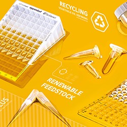 Meet Your Own Sustainability Targets With The Eppendorf Deepwell Plates BioBased Image