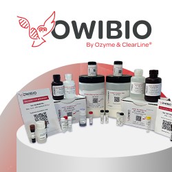 Discover Molecular Biology Essentials from OwiBio Image