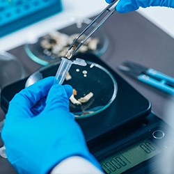 How to Choose a Laboratory Balance Image