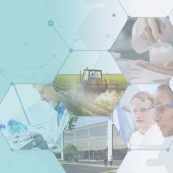 What Are Analytical Reference Standards and Why Do They Matter Image
