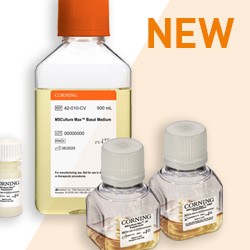 NEW: Corning®️ MSCulture Max™️ Media - Faster MSC Expansion, No Media Changes Image