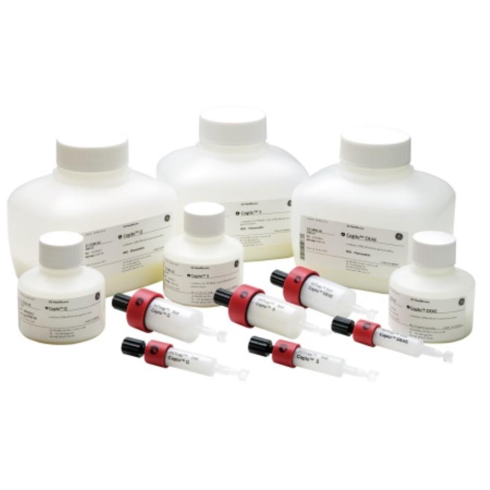 glutathione sepharose 4 fast flow Panel A. SDS-PAGE analysis of the fractions collected from Glutathione main image 0