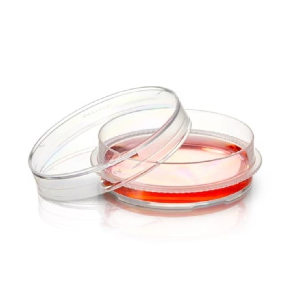 Nunc EasYDish Dishes with Nunc | 150470 | NUNC | SLS