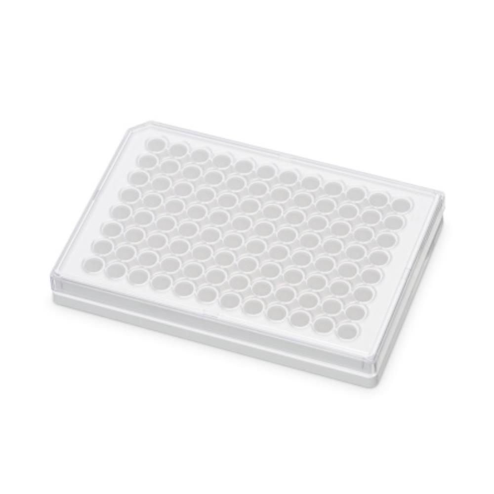 Corning Falcon 96 Well White C | 353389 | FALCON | SLS