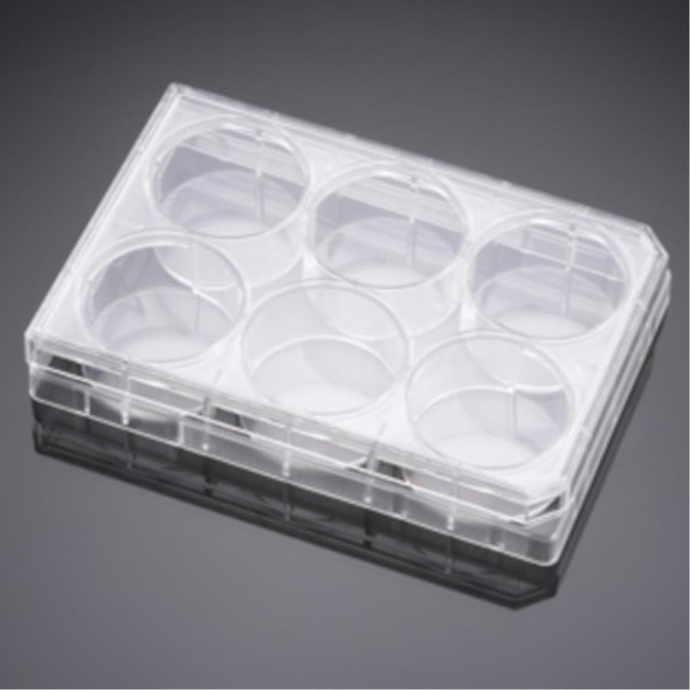 Falcon 6 Well Clear Flat Botto | 353502 | FALCON | SLS