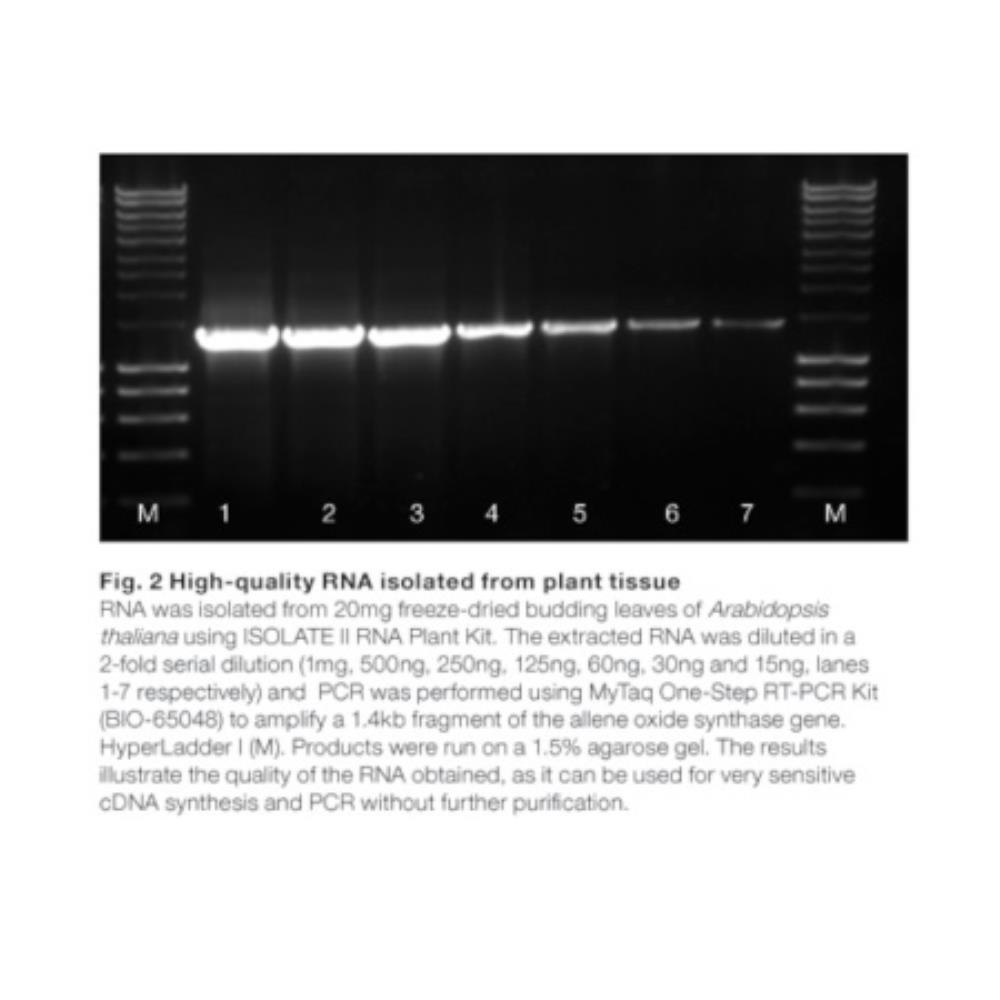 Meridian Bioscience ISOLATE II | BIO52077 | MERIDIAN BIOSCIENCE | SLS