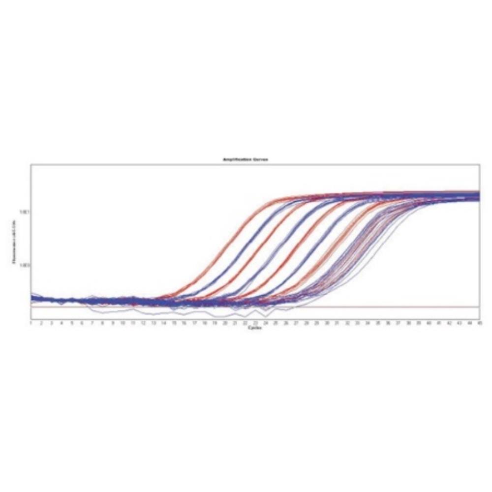 Meridian Bioscience SensiFAST | BIO65053 | MERIDIAN BIOSCIENCE | SLS