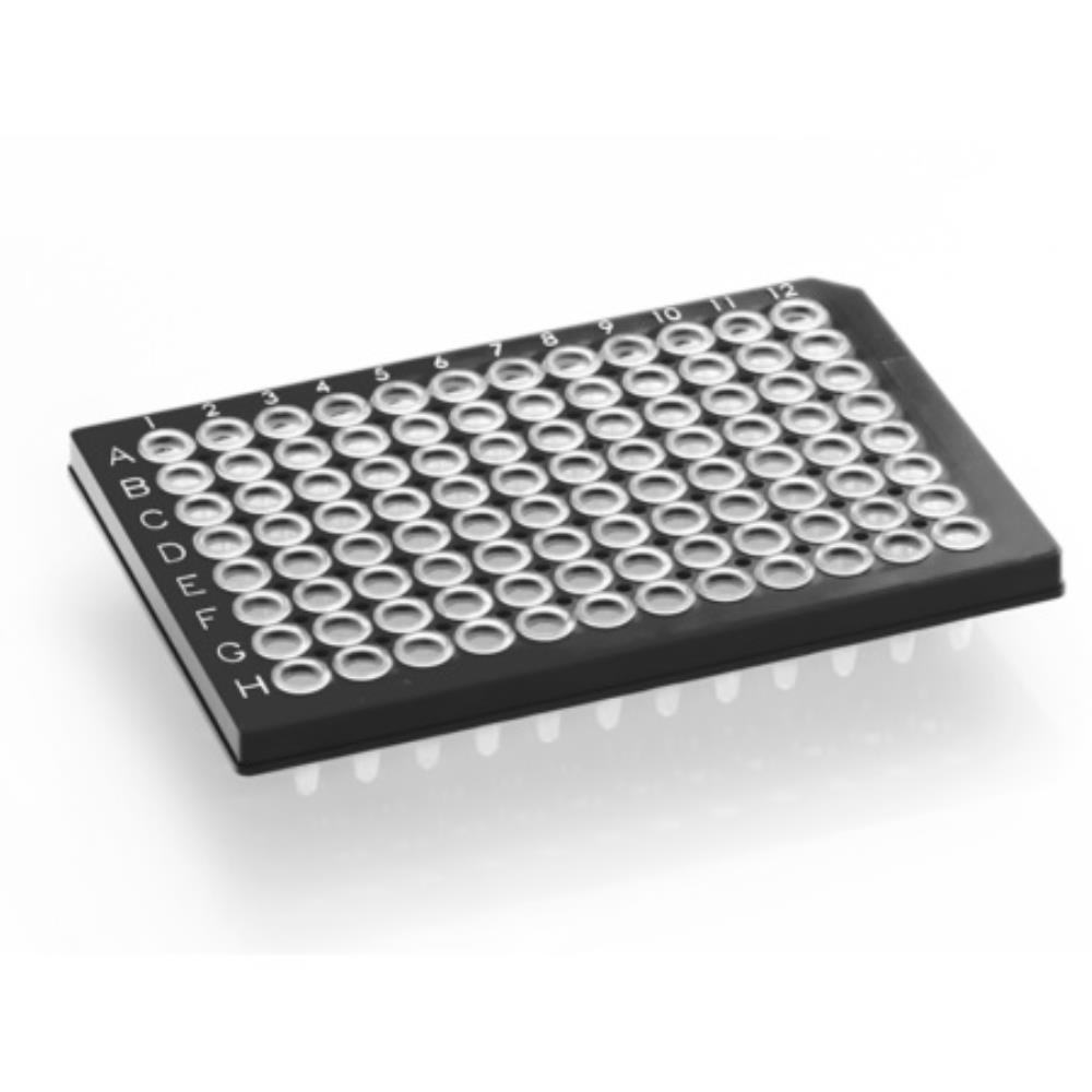 azenta-life-sciences-framestar-pcr1114-4titude-sls