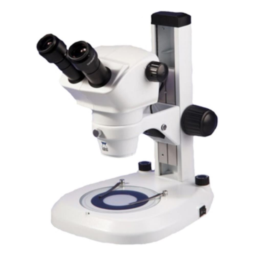 SLS Lab Basics Steddy-BR Trino | SLS2108 | SLS LAB BASICS | SLS