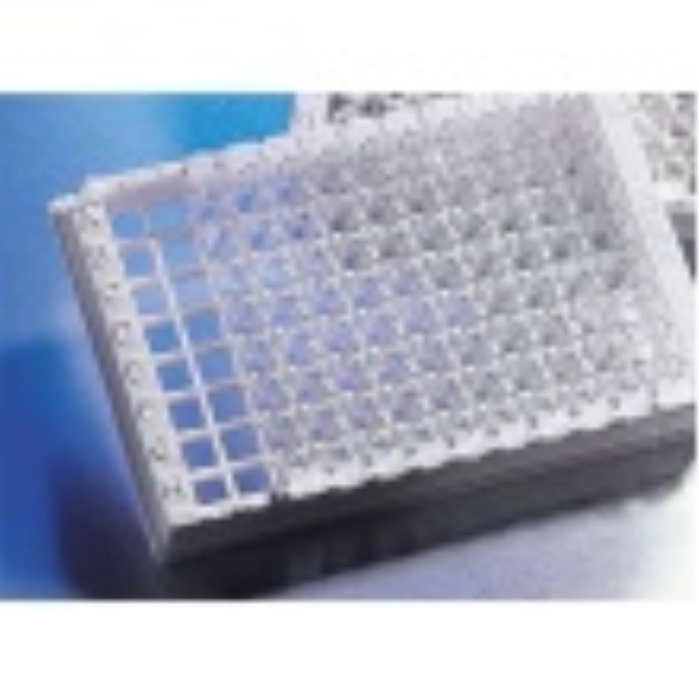 CLS2572-20EA Image