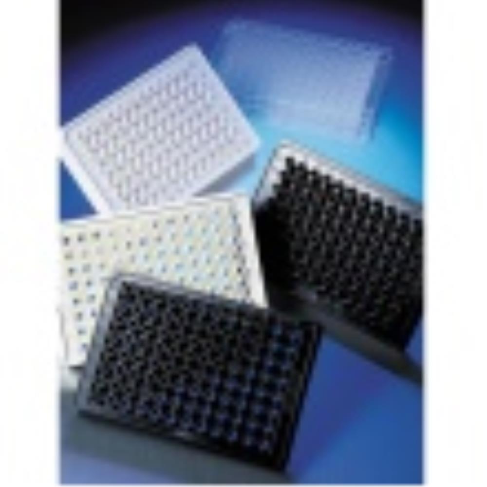 CLS3880-100EA Image