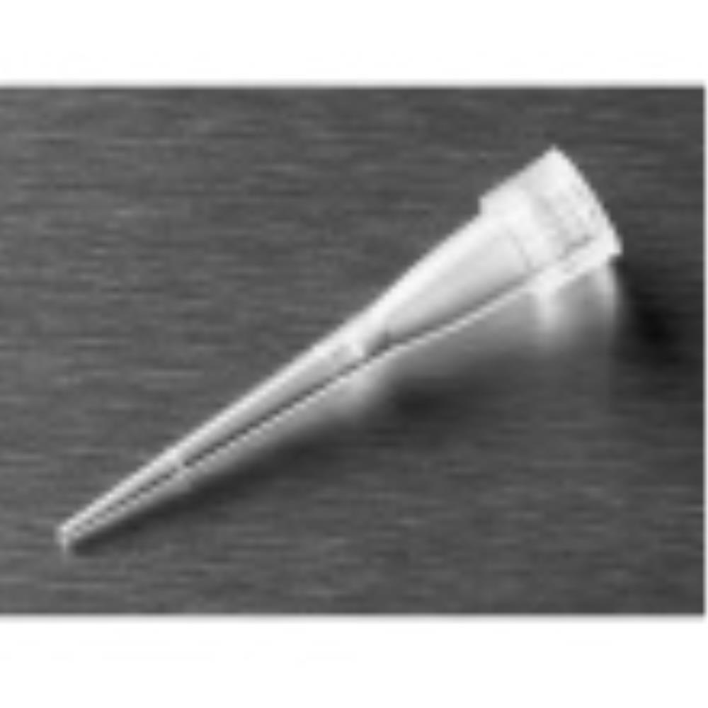 CLS4807-960EA Image