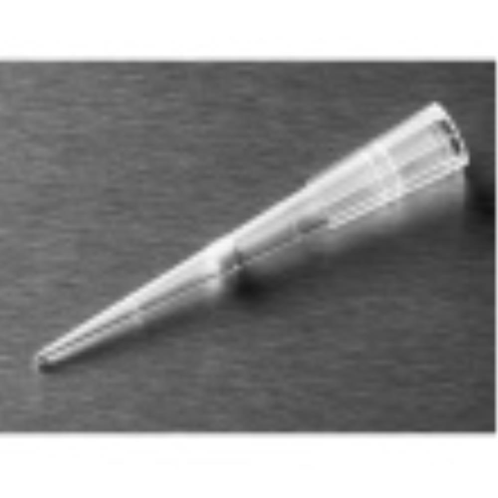 CLS4821-960EA Image