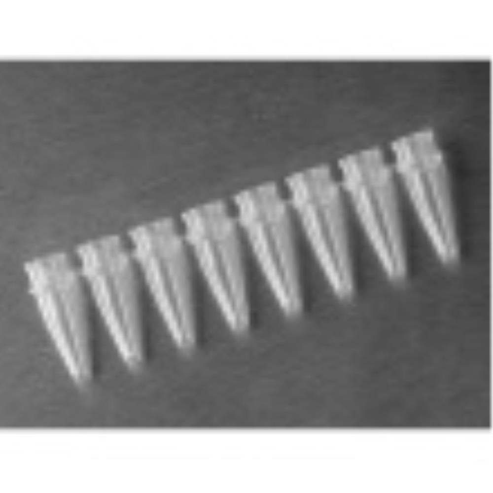 axypcr0208c Image