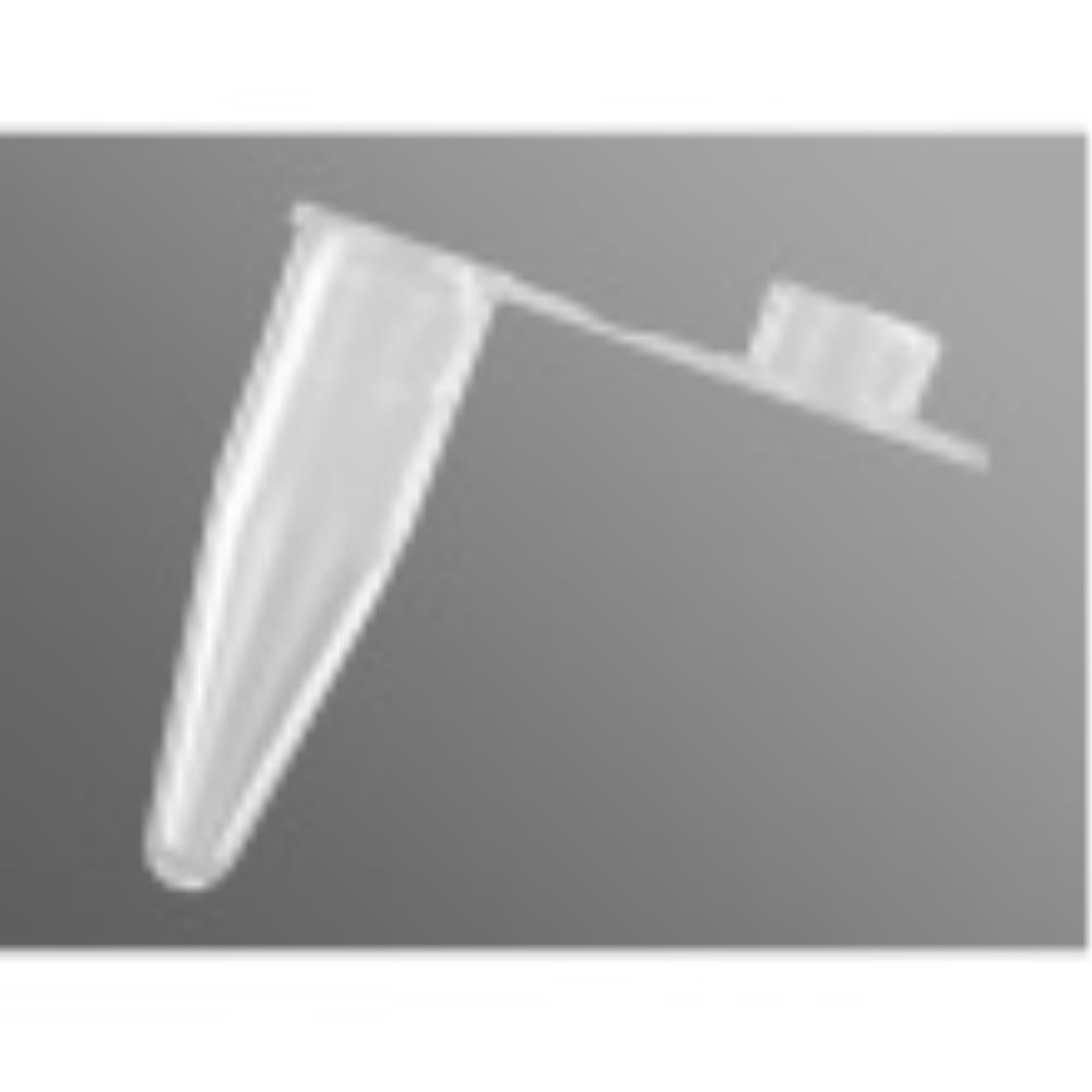 axypcr02a Image