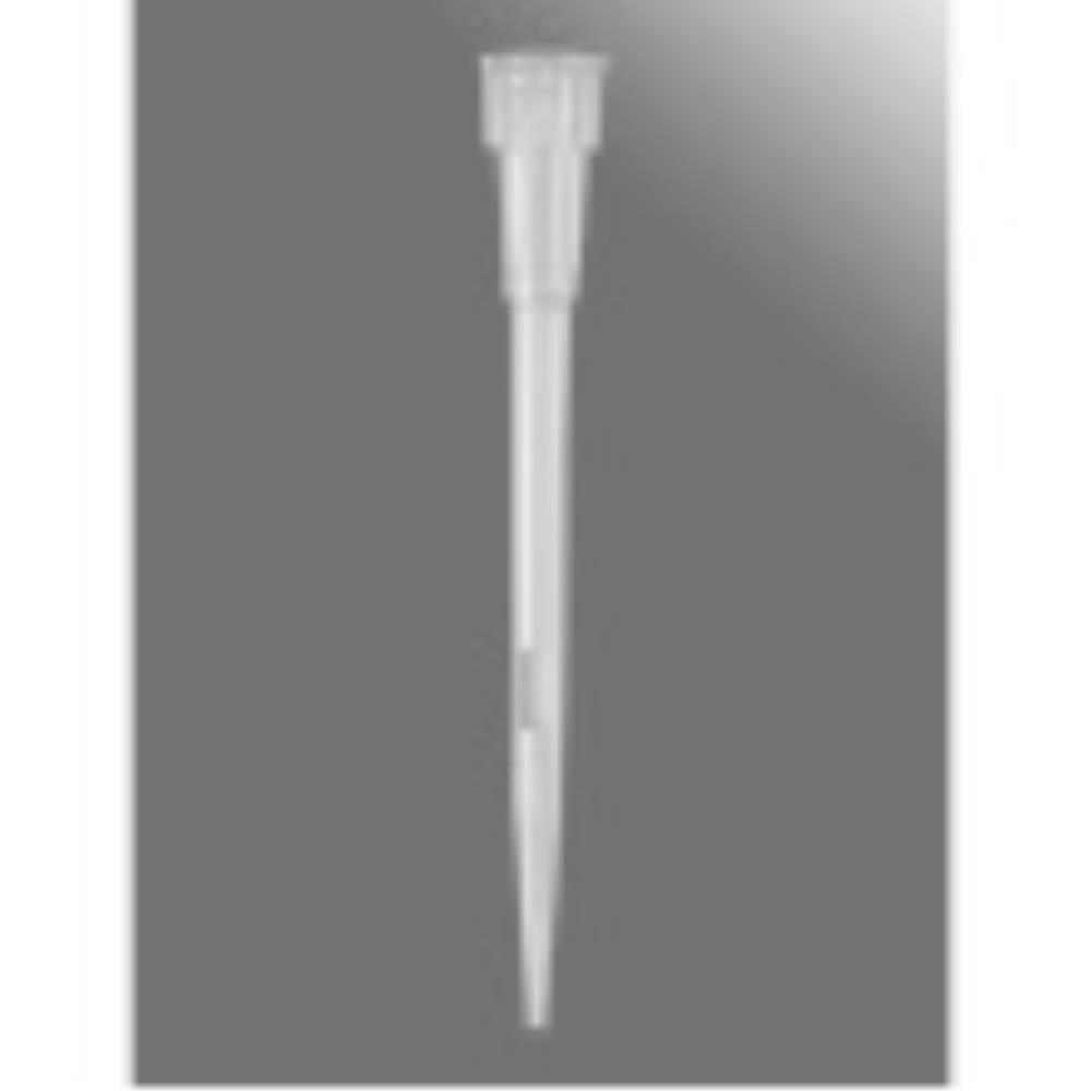 axytxlf10lrs Image