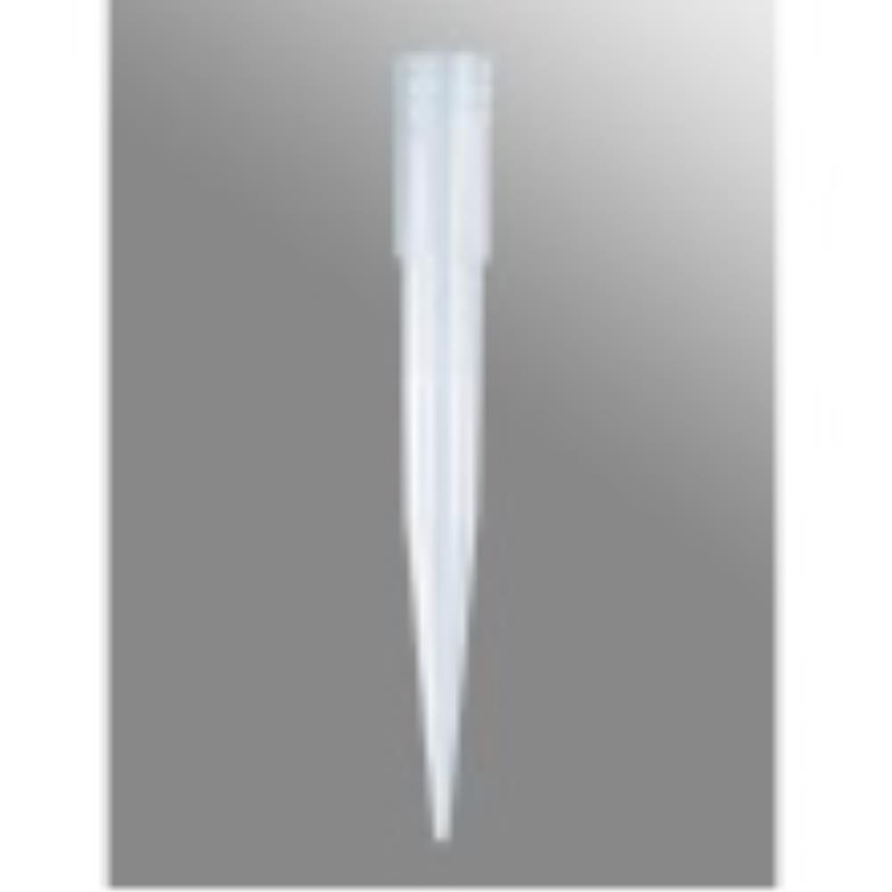 AXYT1000BRS Image