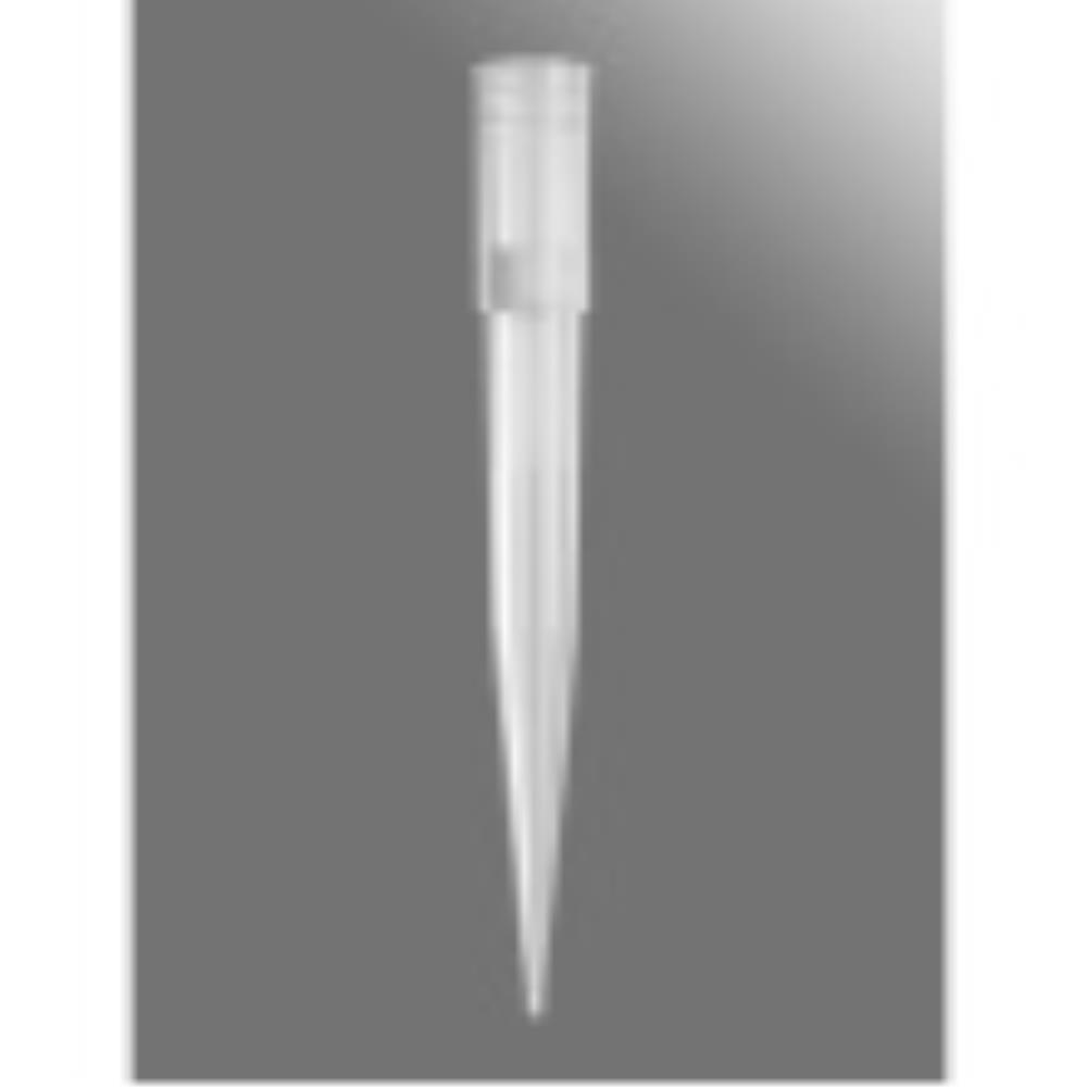 AXYTF1000LRS Image